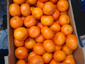 MANDARINES